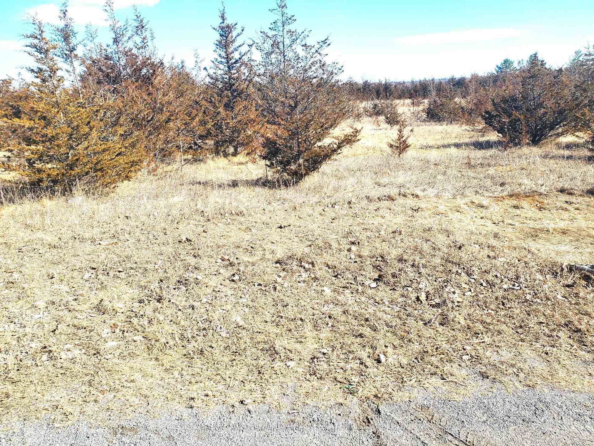 Photo de la propriété:  521 Hwy 41 N/A  ON K0K 2W0 