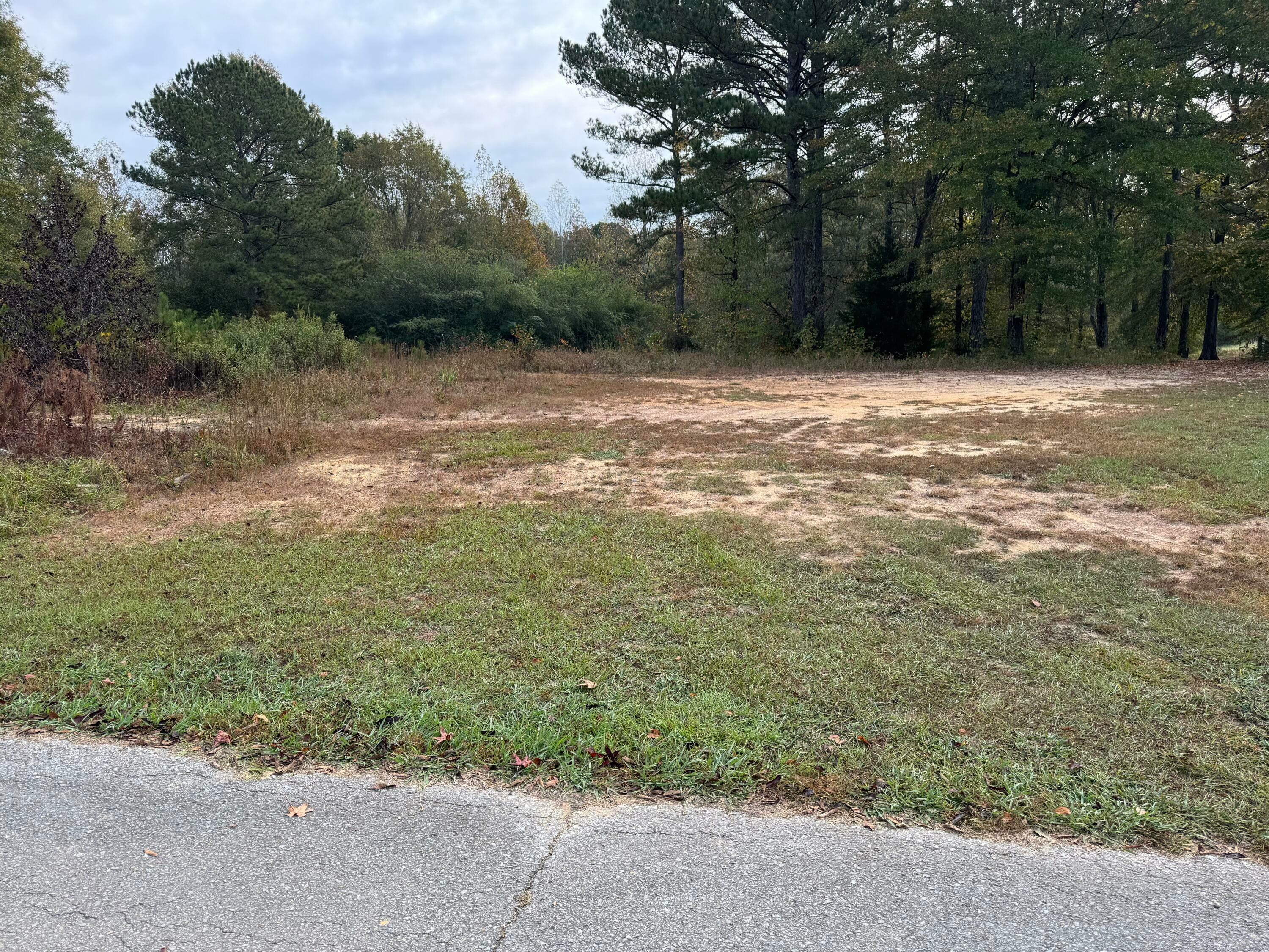 Property Photo:  Lot 5 Evans Cir  AL 35501 