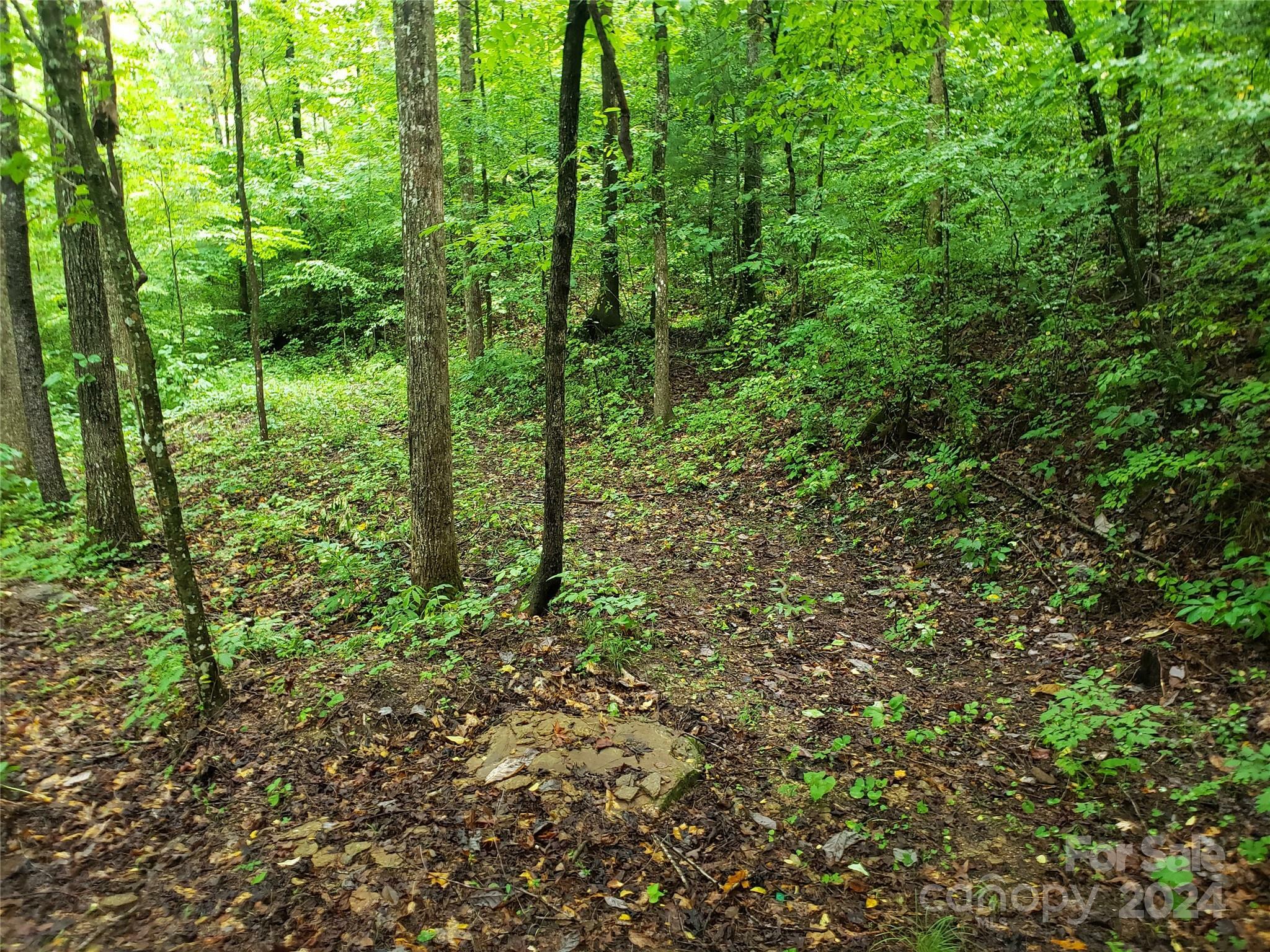 Property Photo:  00 Luckadoo Mountain Road  NC 28018 