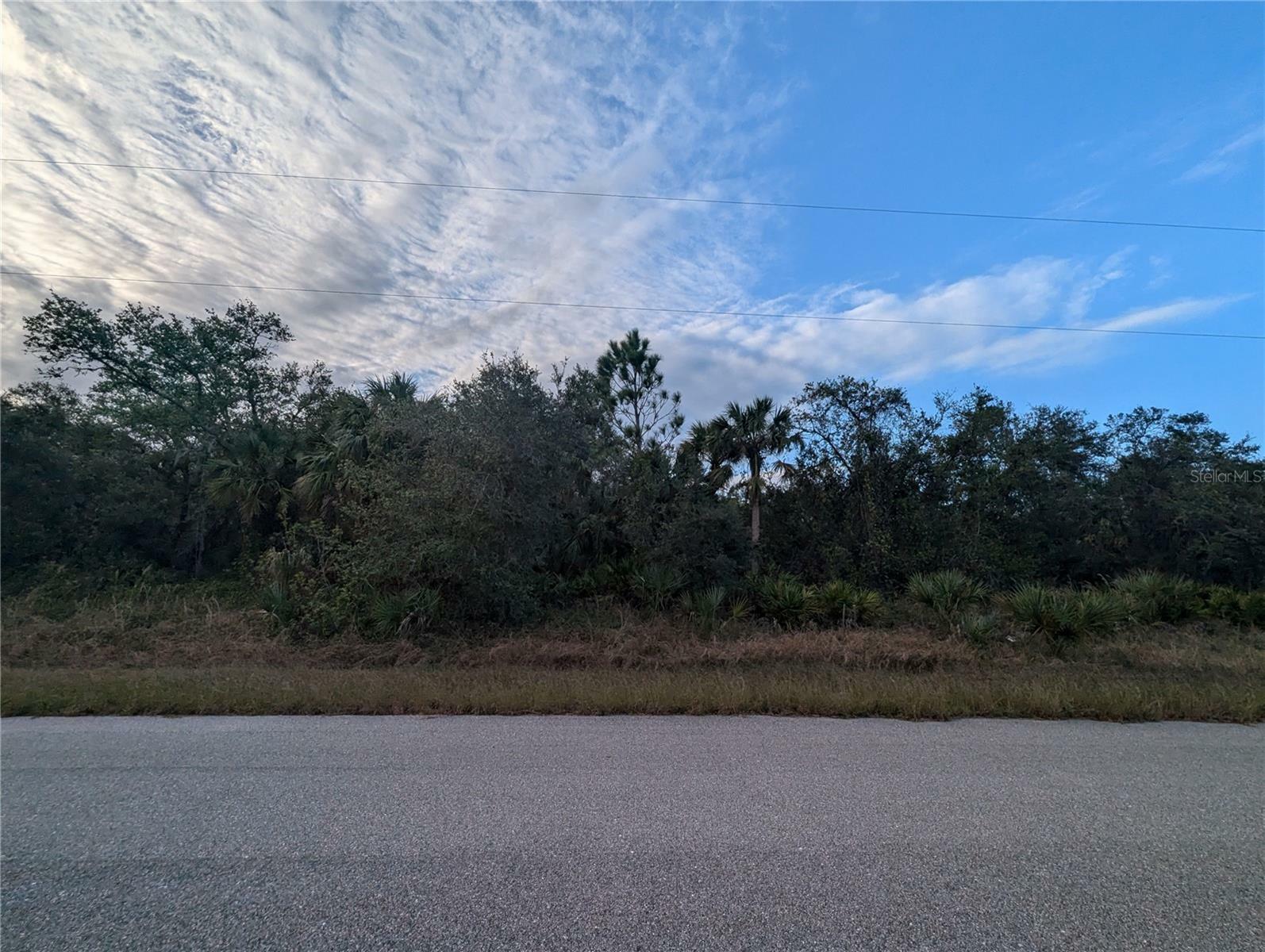 Property Photo:  Lot 12 Mattox Circle  FL 34288 