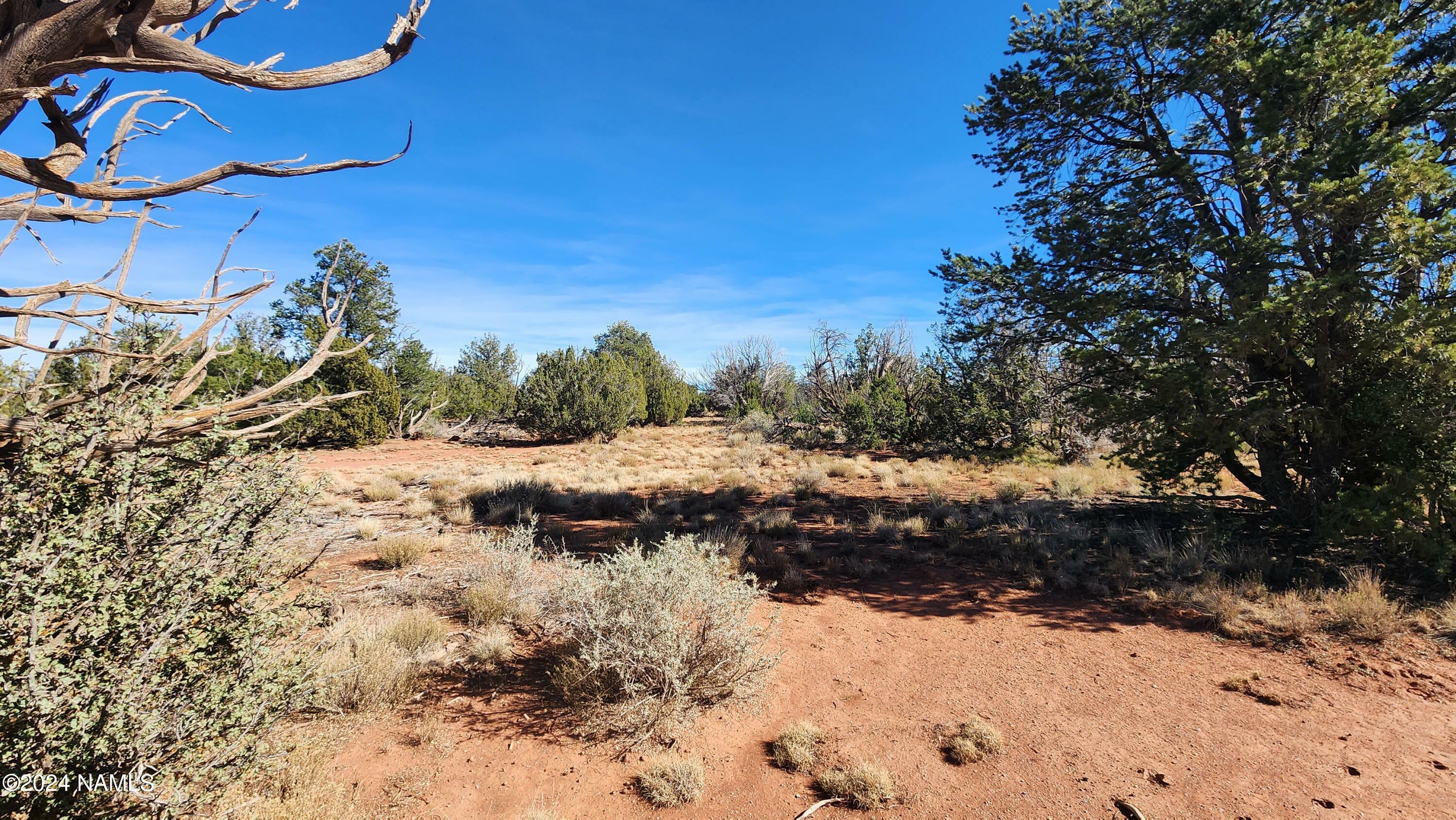 Property Photo:  2089 S Poppy Lane  AZ 86046 