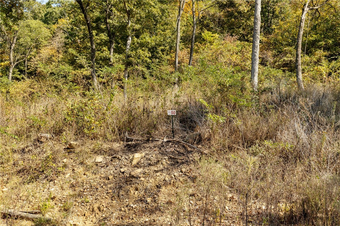 Property Photo:  Lot 50 Restore Ridge  AR 72601 