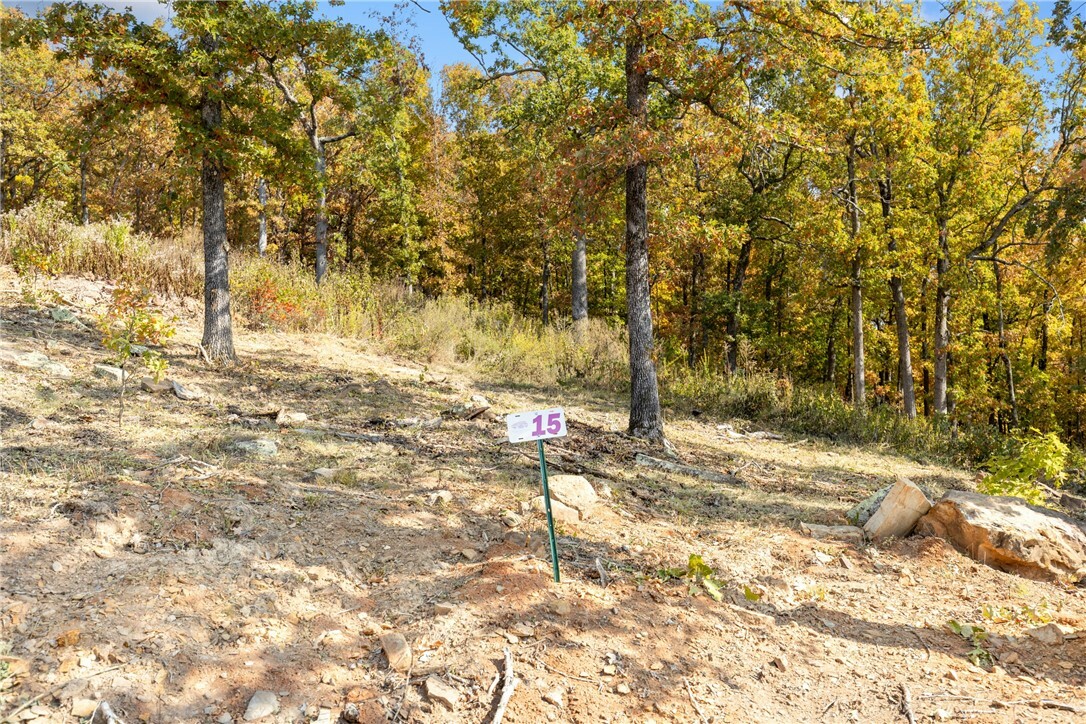 Property Photo:  Lot 15 Peaceful Place  AR 72601 