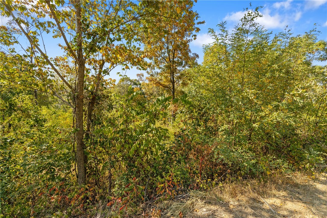 Property Photo:  Lot 31 Peaceful Place  AR 72601 