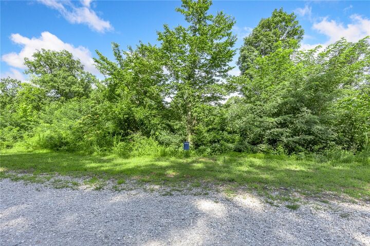 Property Photo: Lot 31 Peaceful Place AR 72601