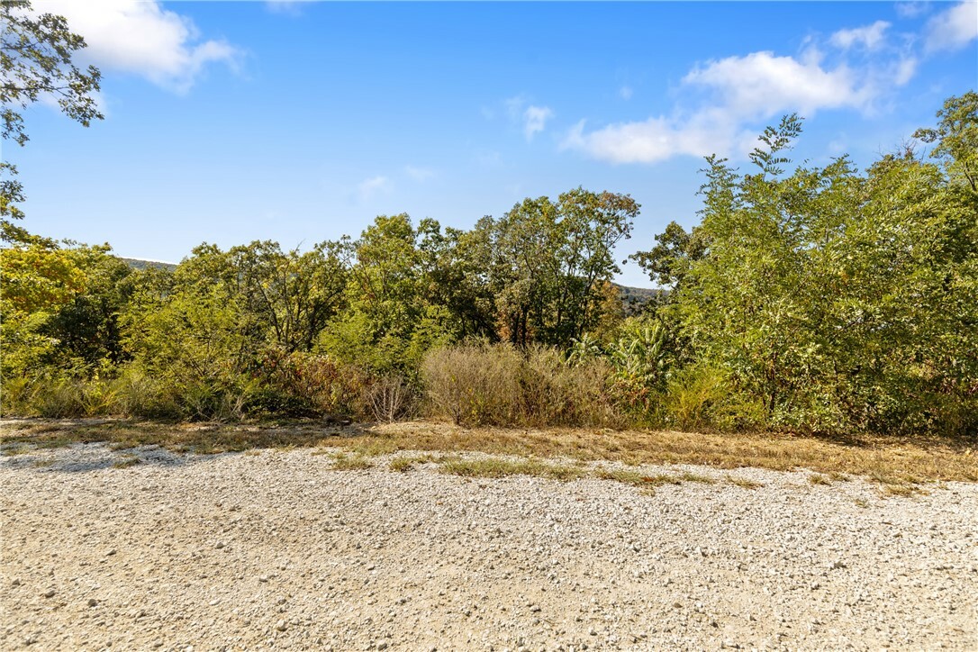 Property Photo:  Lot 25 Peaceful Place  AR 72601 