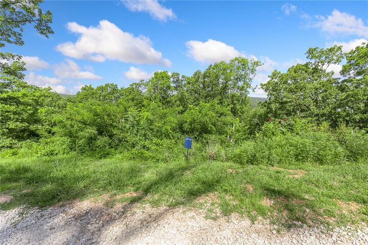 Property Photo: Lot 25 Peaceful Place AR 72601