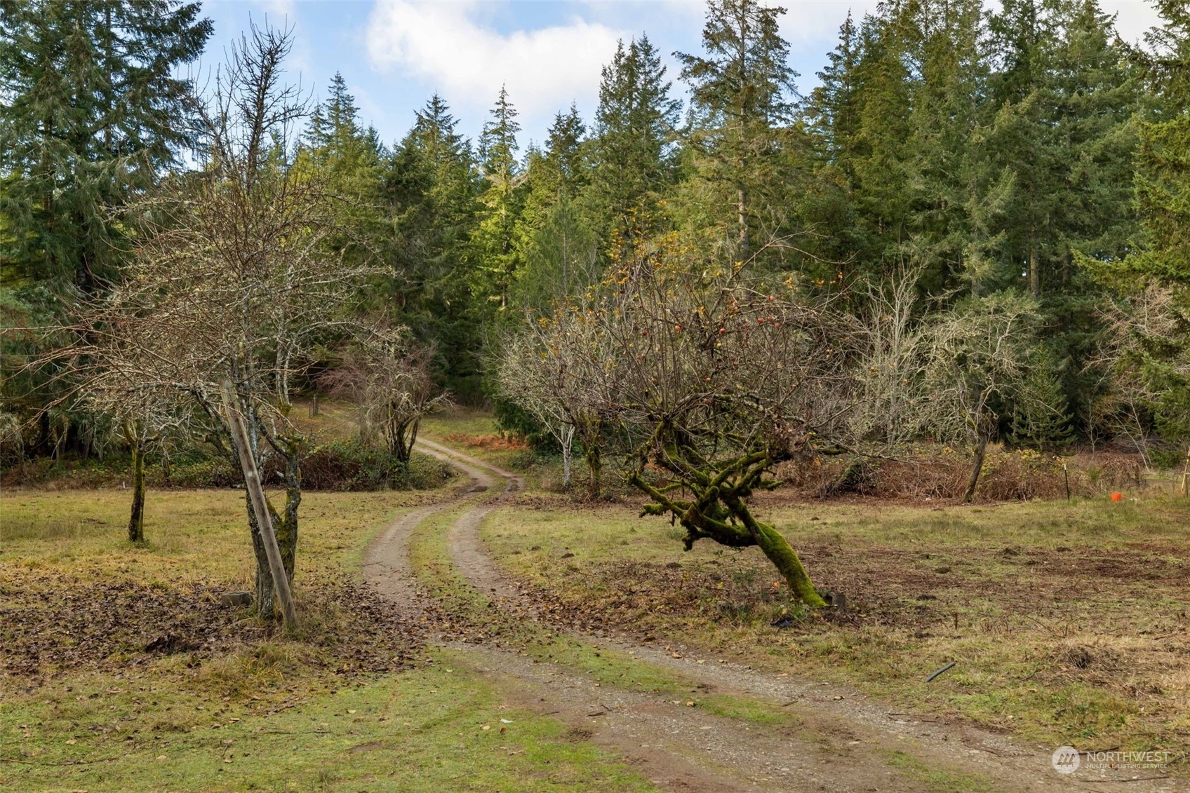 Property Photo:  6219  Whiteman Road SW  WA 98351 