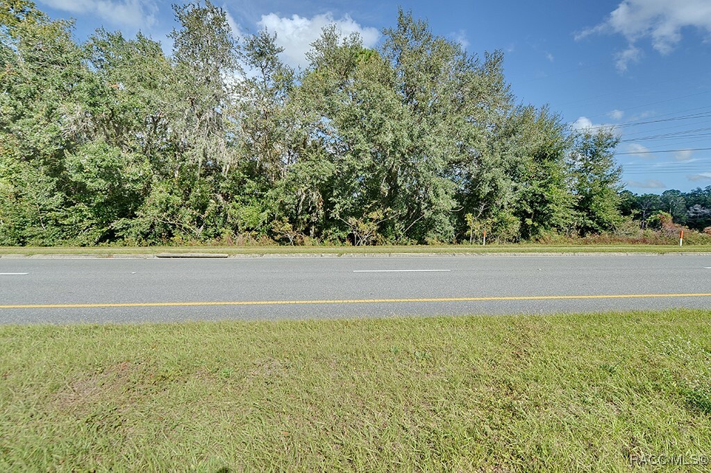 Property Photo:  6049 W Norvell Bryant Highway  FL 34429 