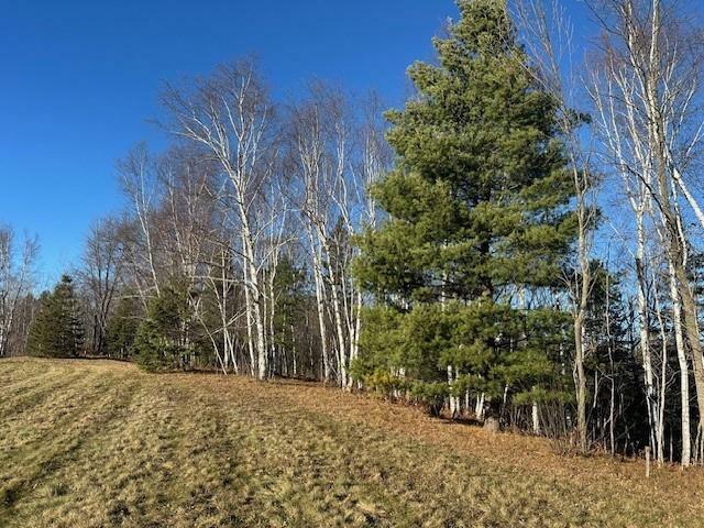 Property Photo:  Lots 3 & 4 Birken Trail Road  WI 54843 