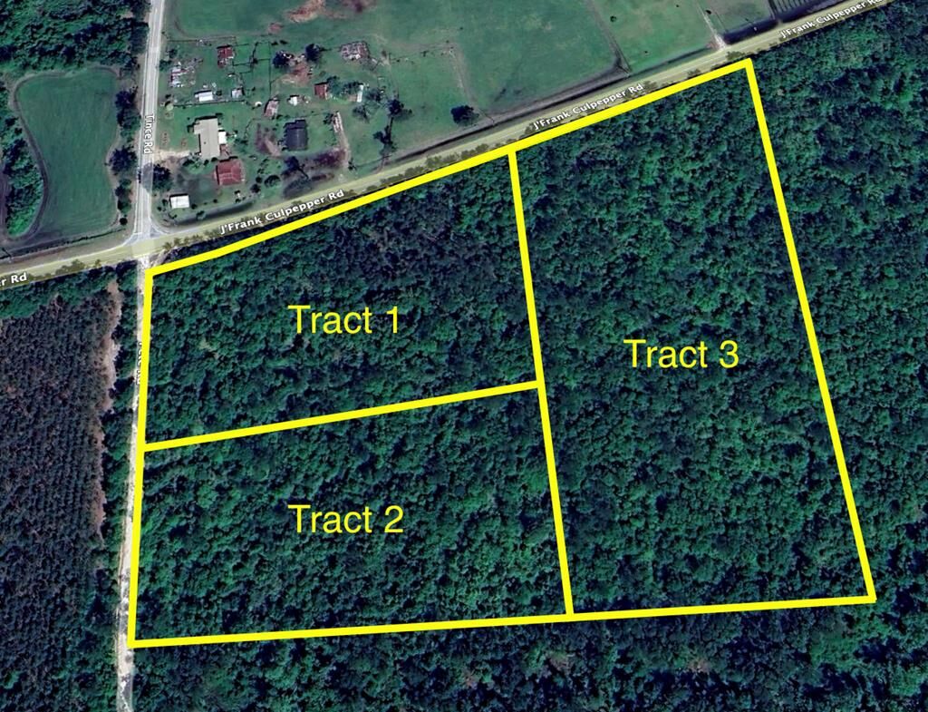 Property Photo:  Tract 2 Pete Rd  GA 31636 