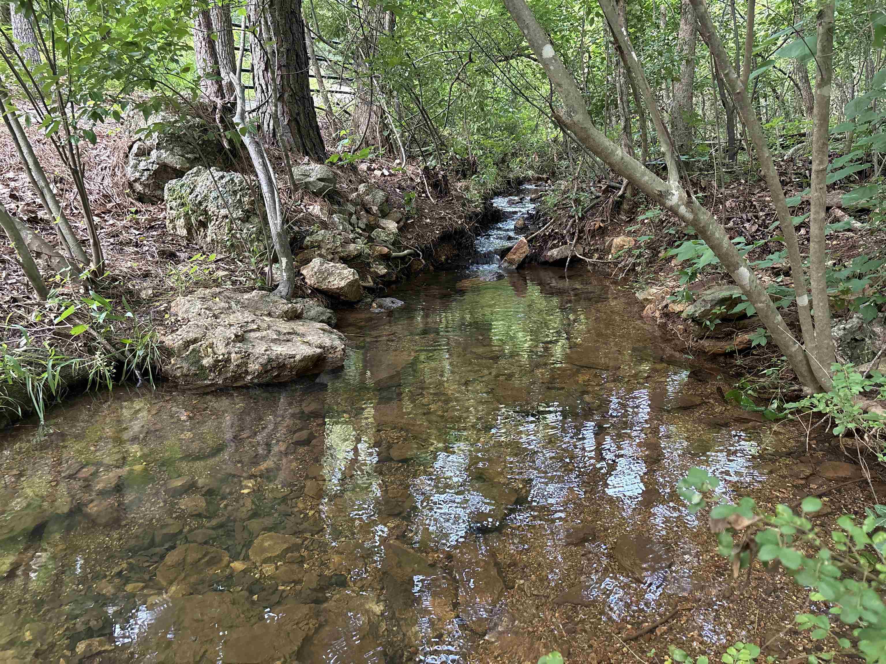 Property Photo: 47 Timberlane Drive AR 72542