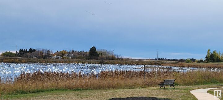 Property Photo:  5028 50 Avenue  AB T0B 2C0 