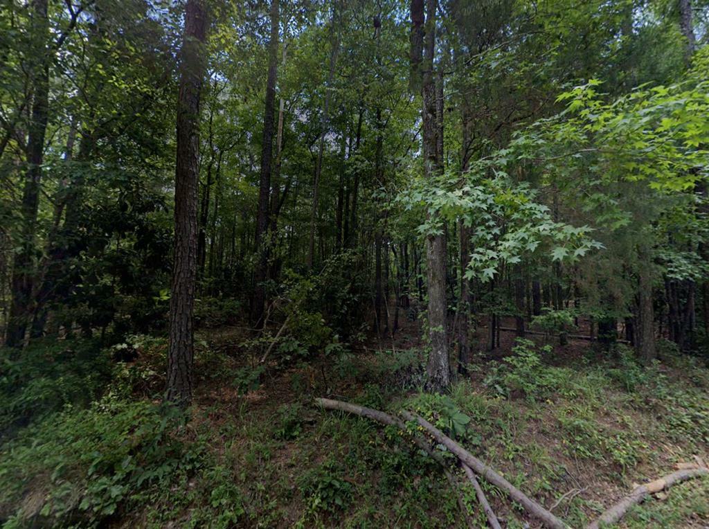 Property Photo:  Lot 38C Red Oak Drive  GA 31831 