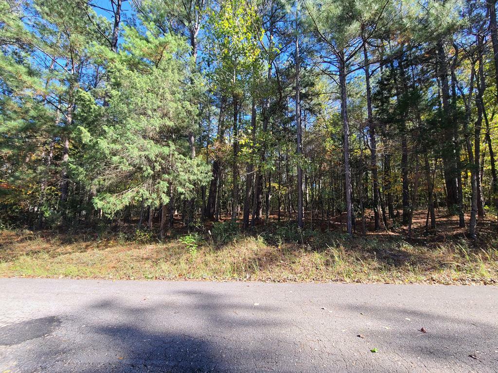 Property Photo:  Lot 38C Red Oak Drive  GA 31831 