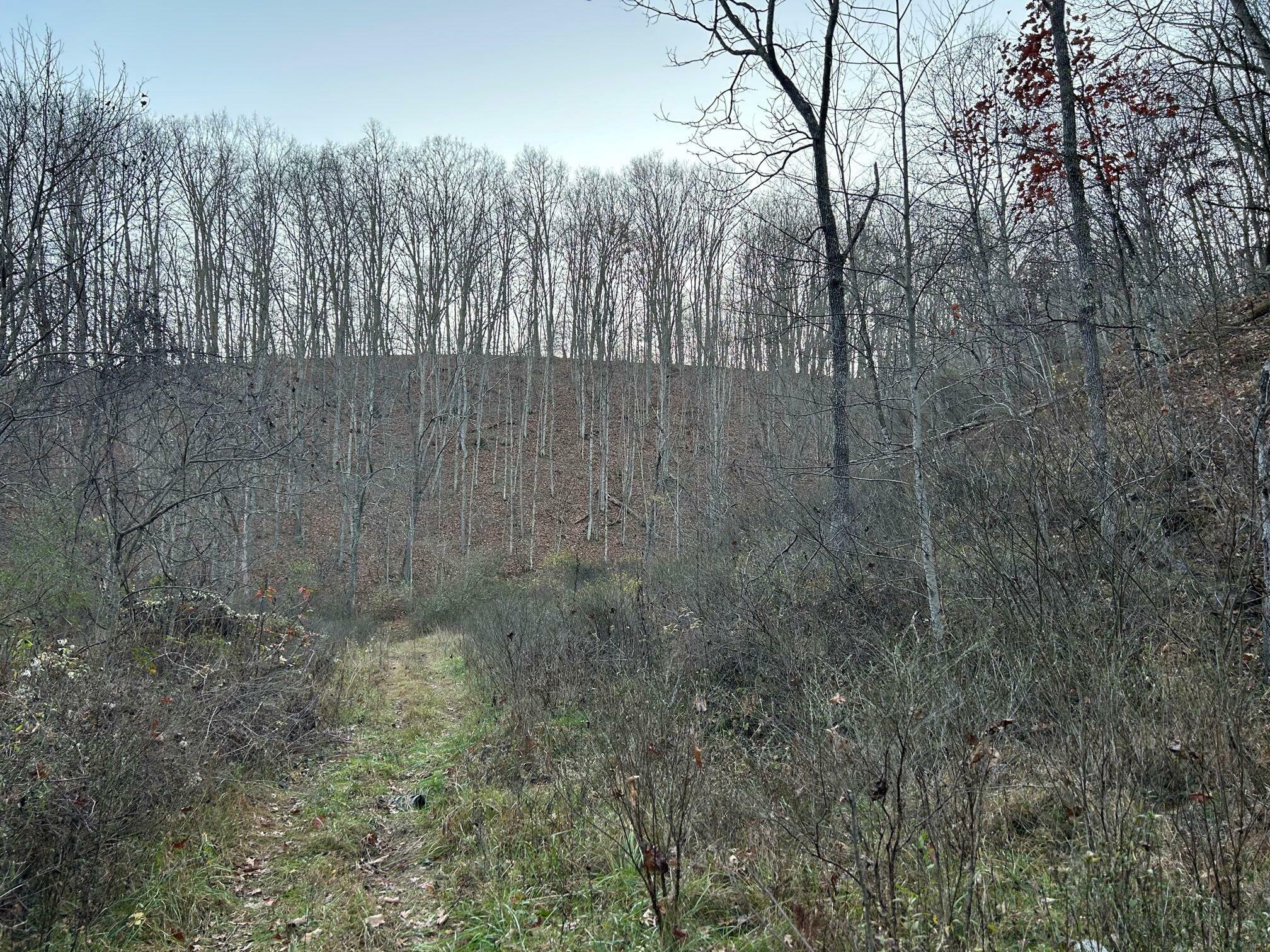 Property Photo:  Dale Hollow Rd  WV 24966 