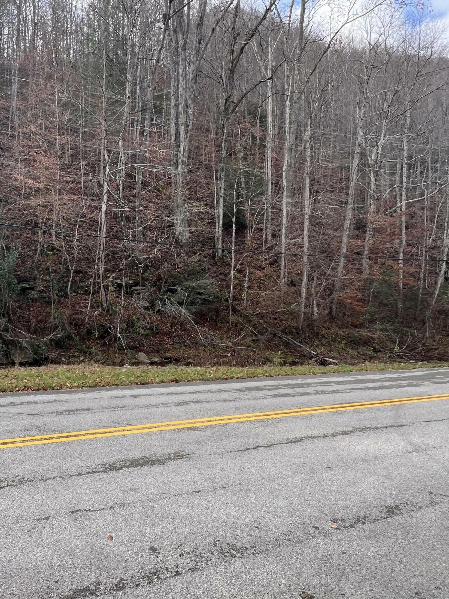 Property Photo:  9999 Cow Fork Road  KY 40913 