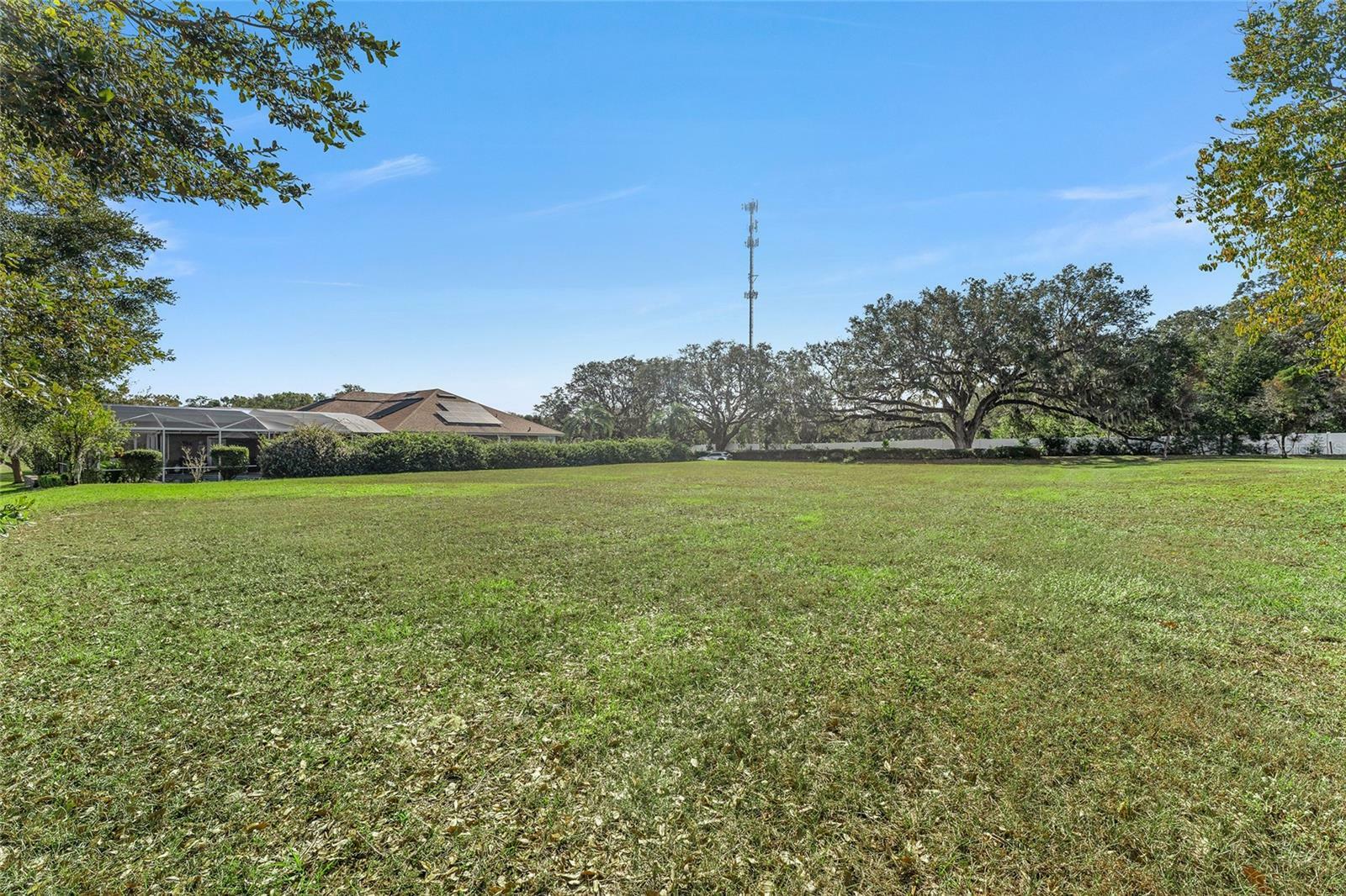 Property Photo:  523 Dowling Circle  FL 32159 