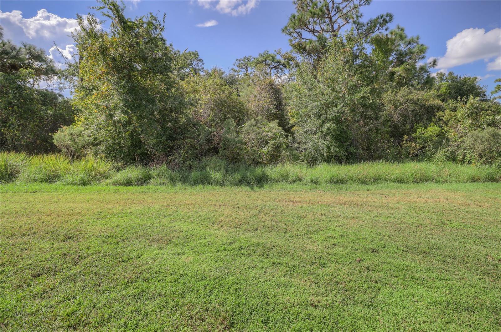 Property Photo:  20238 Merry Oak Avenue  FL 33647 