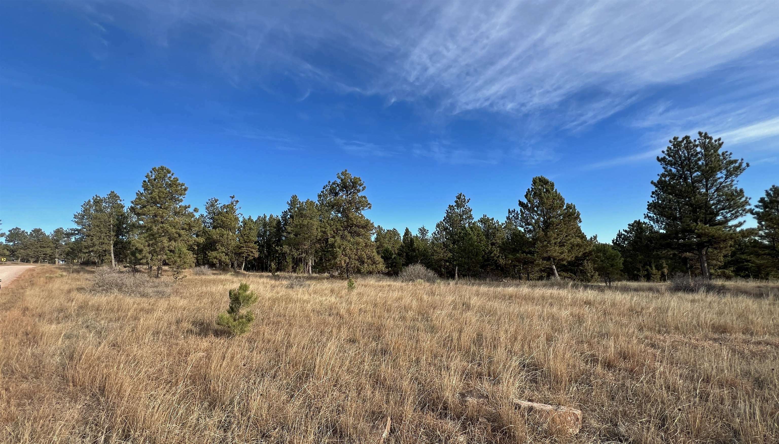 Property Photo:  Lot 8 Argyle Road  SD 57747 