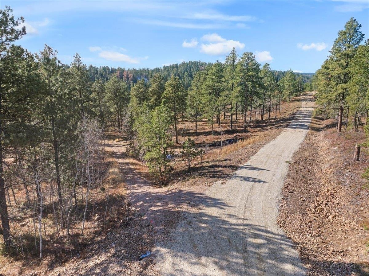 Property Photo:  Lot 2 Last Chance Trail  SD 57754 