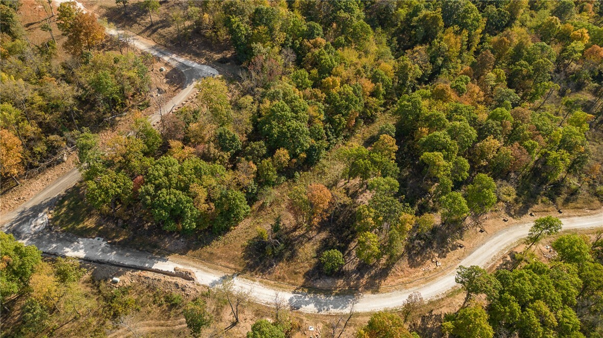 Property Photo:  Lot 102 Restore Ridge  AR 72601 