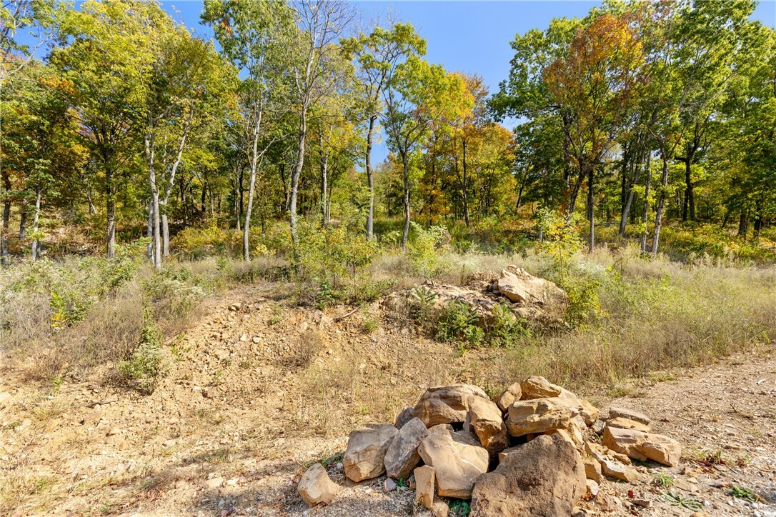 Property Photo:  Lot 56 Restore Ridge  AR 72601 