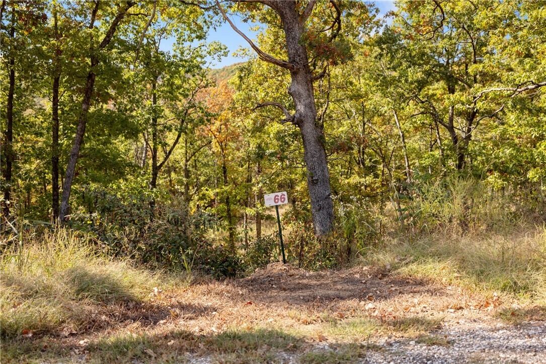 Property Photo:  Lot 66 Restore Ridge  AR 72601 