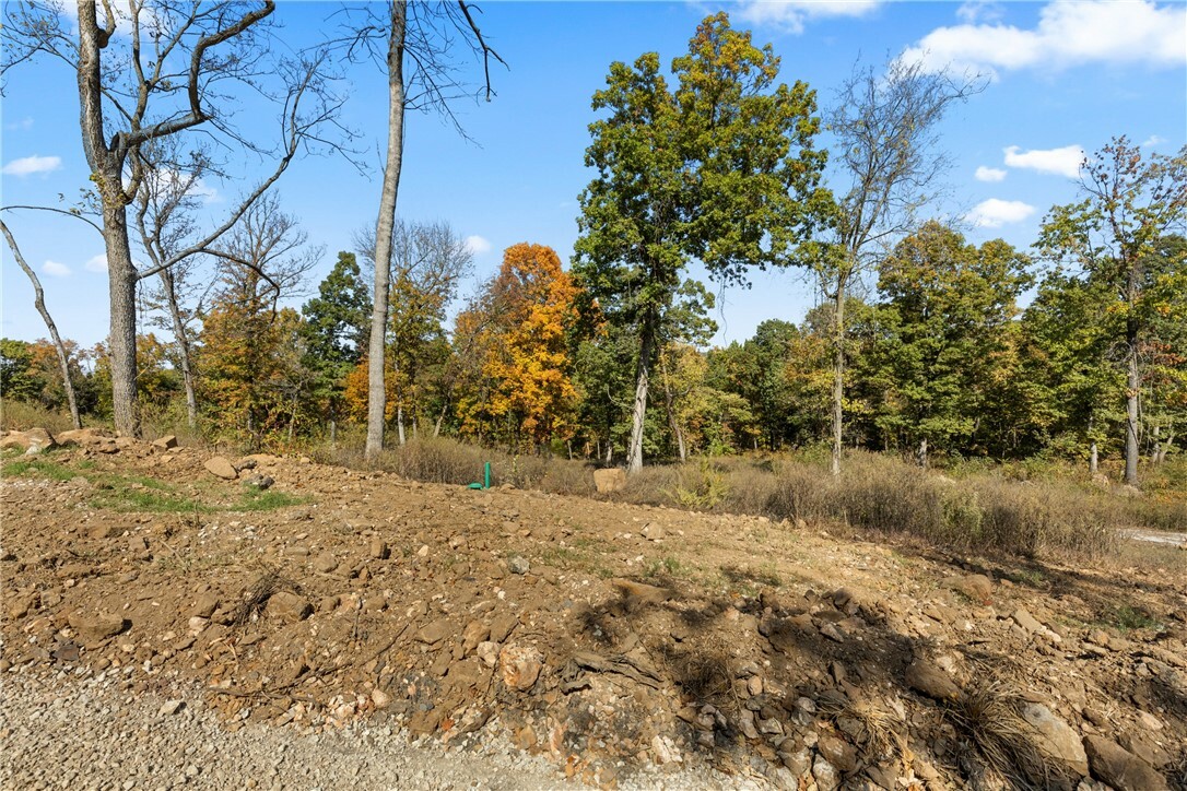 Property Photo:  Lot 93 Restore Circle  AR 72601 