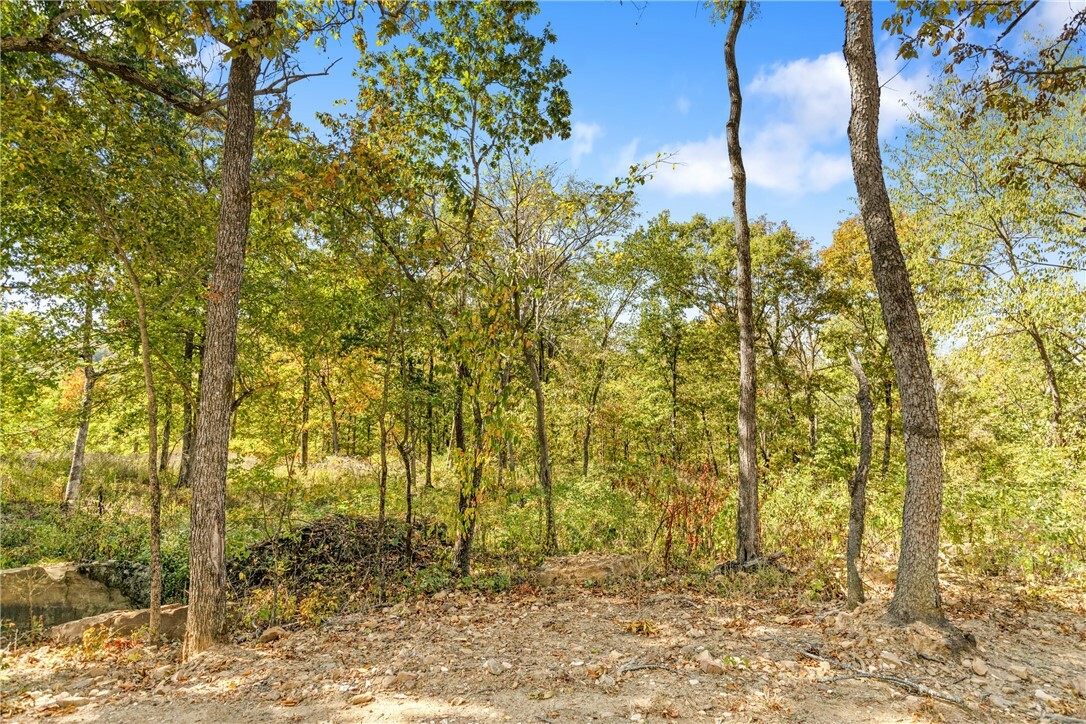 Property Photo:  Lot 82 Restore Ridge  AR 72601 