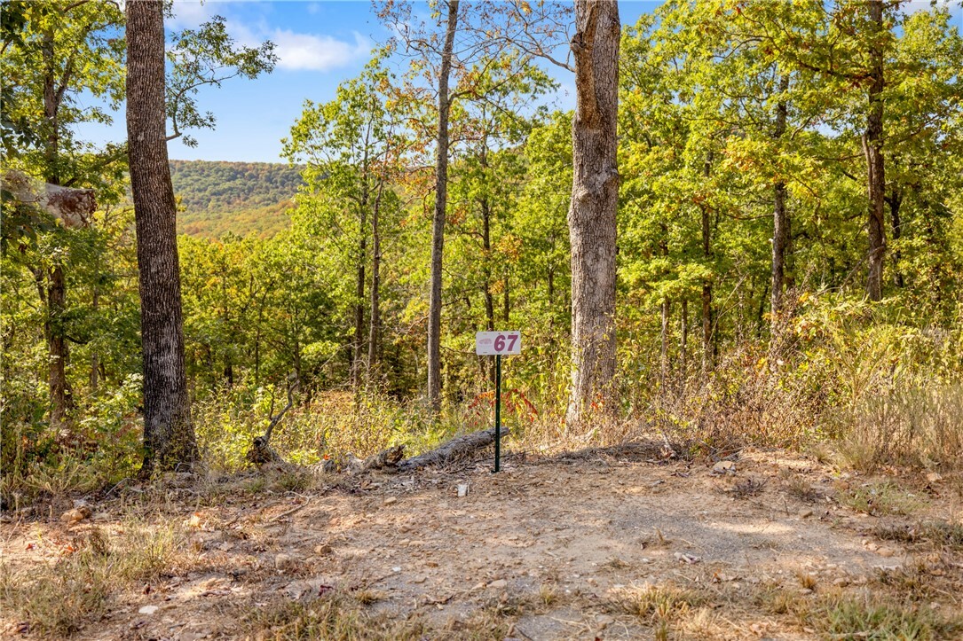 Property Photo:  Lot 67 Restore Ridge  AR 72601 