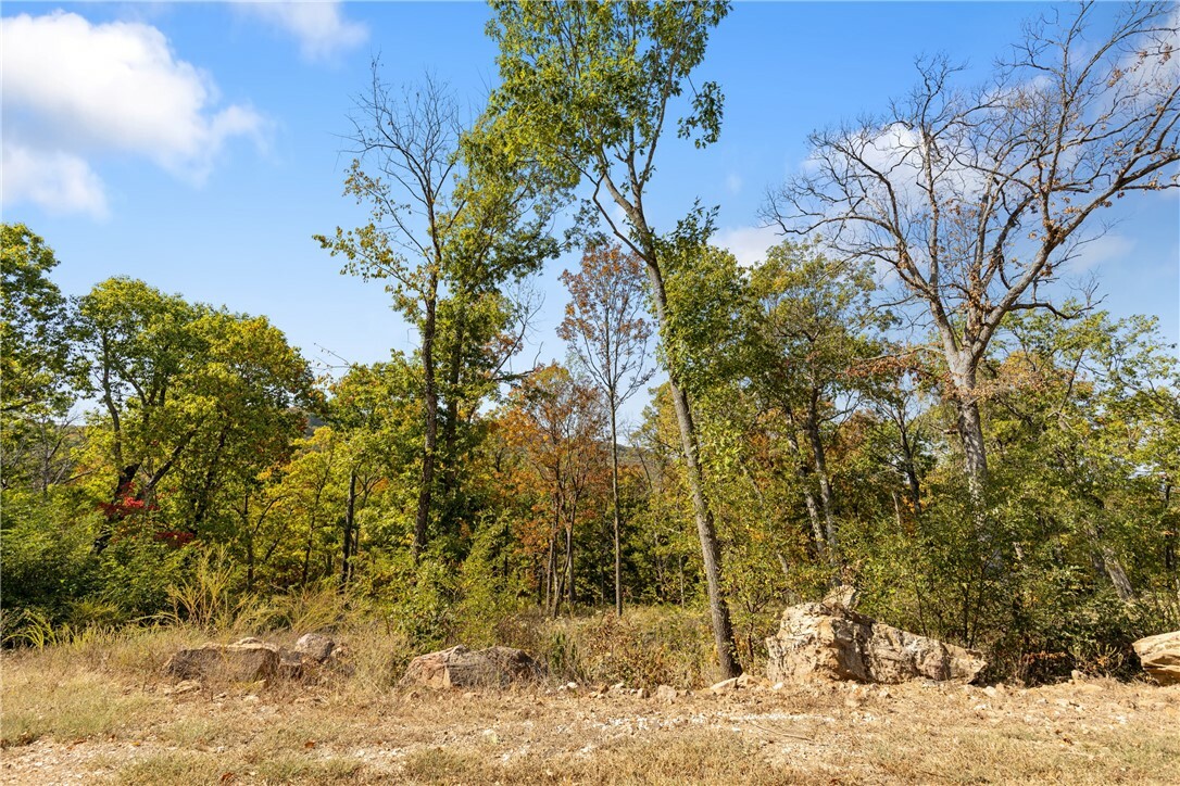 Property Photo:  Lot 77 Restore Ridge  AR 72601 