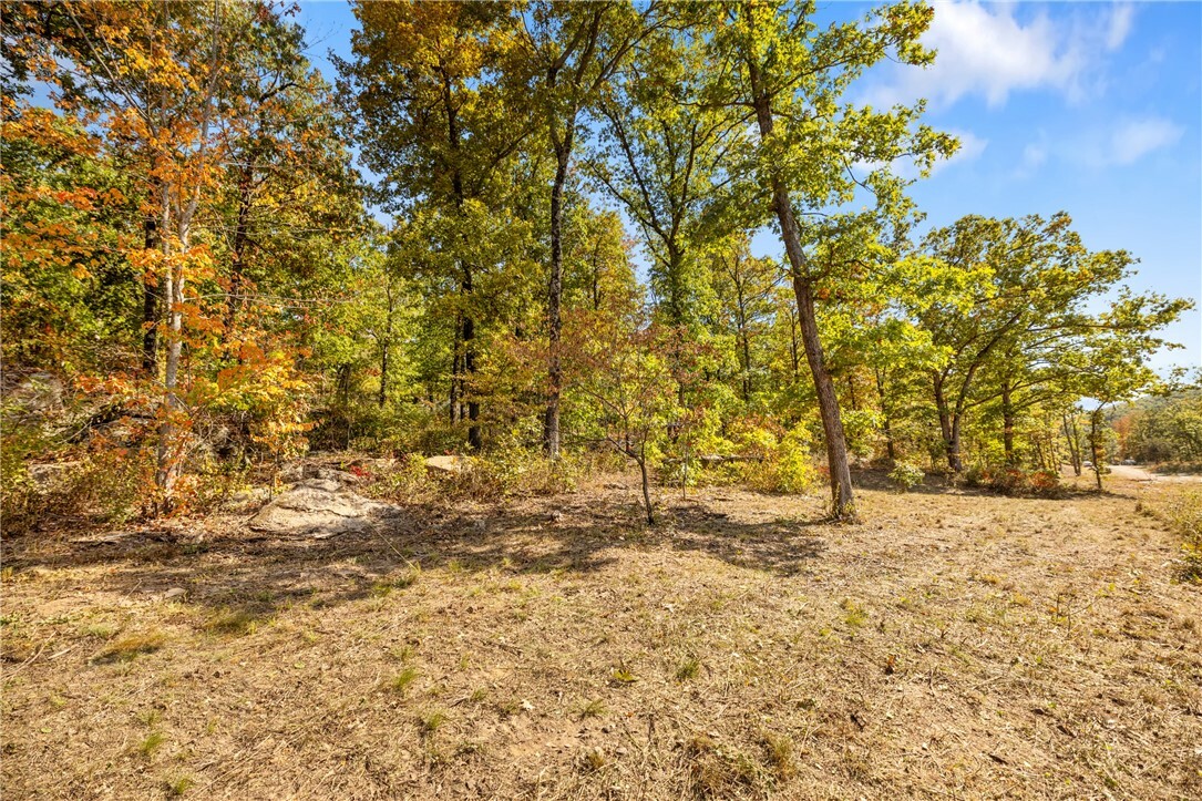 Property Photo:  Lot 60 Restore Ridge  AR 72601 