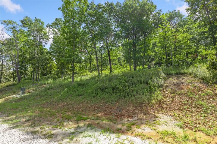 Property Photo: Lot 60 Restore Ridge AR 72601