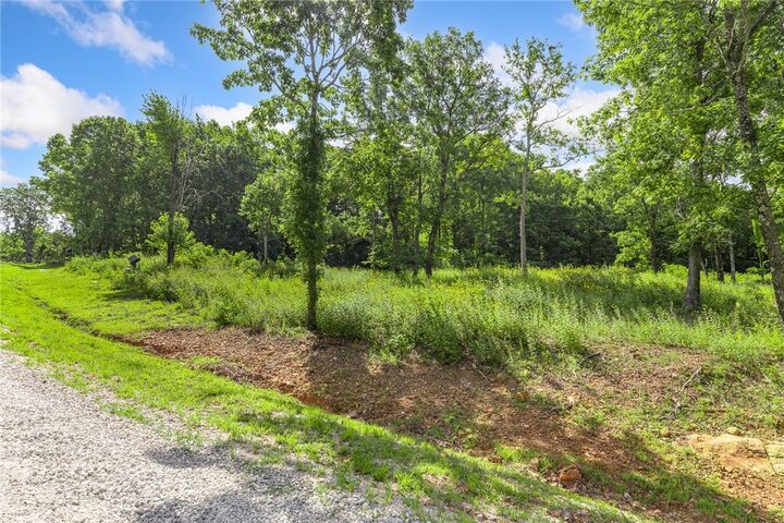 Property Photo: Lot 101 Restore Ridge AR 72601