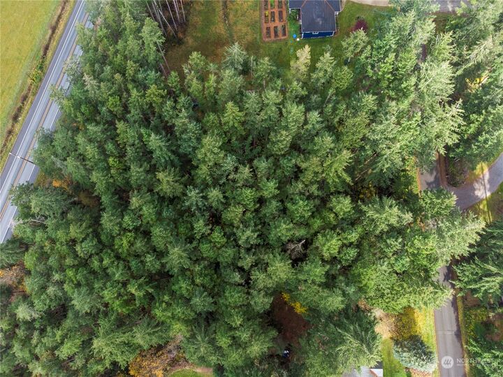Property Photo:  0  Woodland Drive  WA 98282 
