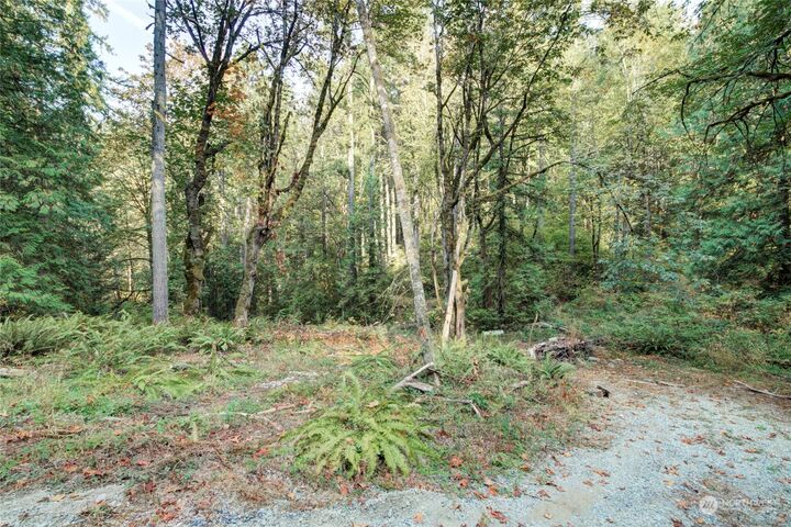 Property Photo:  37 Xxx  212th Way SE  WA 98075 