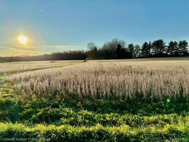 Property Photo:  14235 Wanty Road  MI 48160 