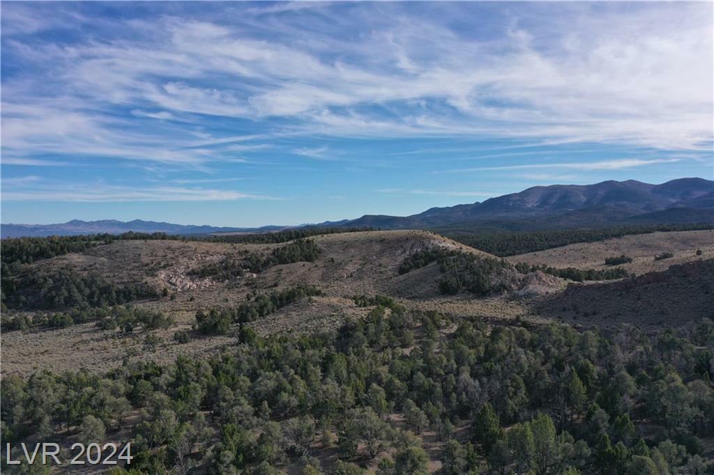 0 Buckhorn Ranch  Pioche NV 89043 photo