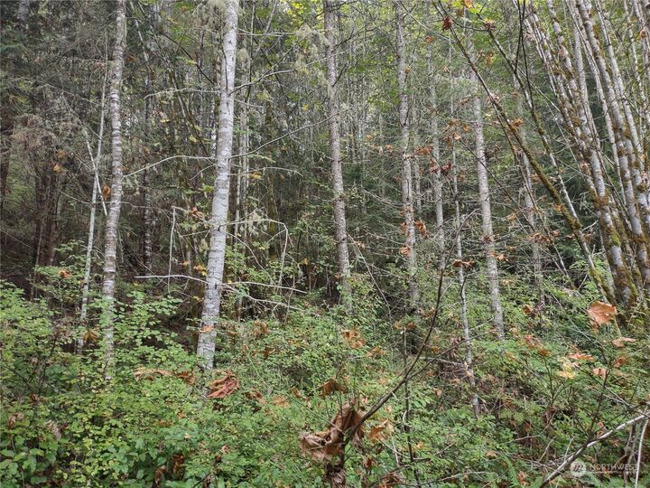 Property Photo:  0  Elwha River Road  WA 98363 