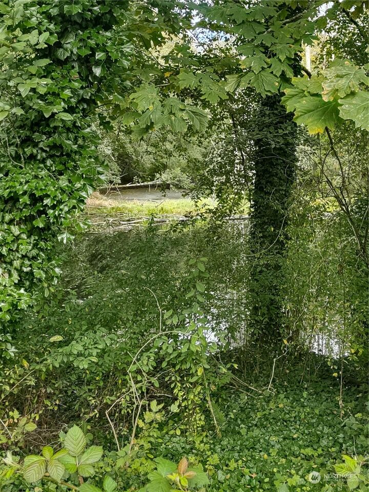 Property Photo:  0  Elwha River Road  WA 98363 