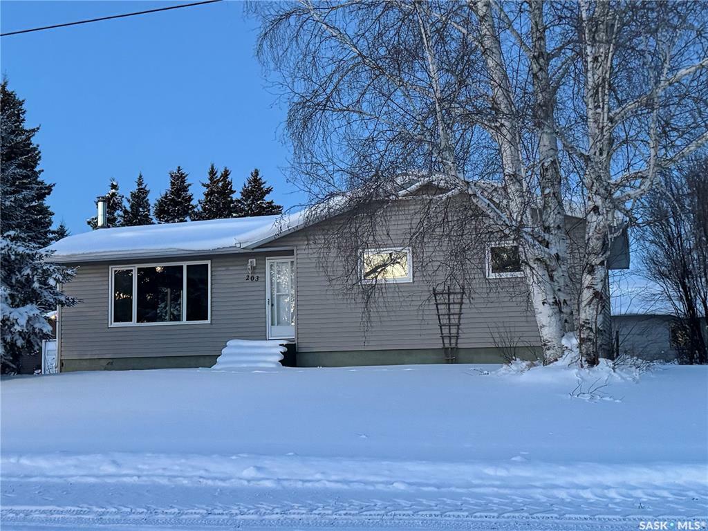 Property Photo: 203 2nd Avenue N SK S0A 3X0
