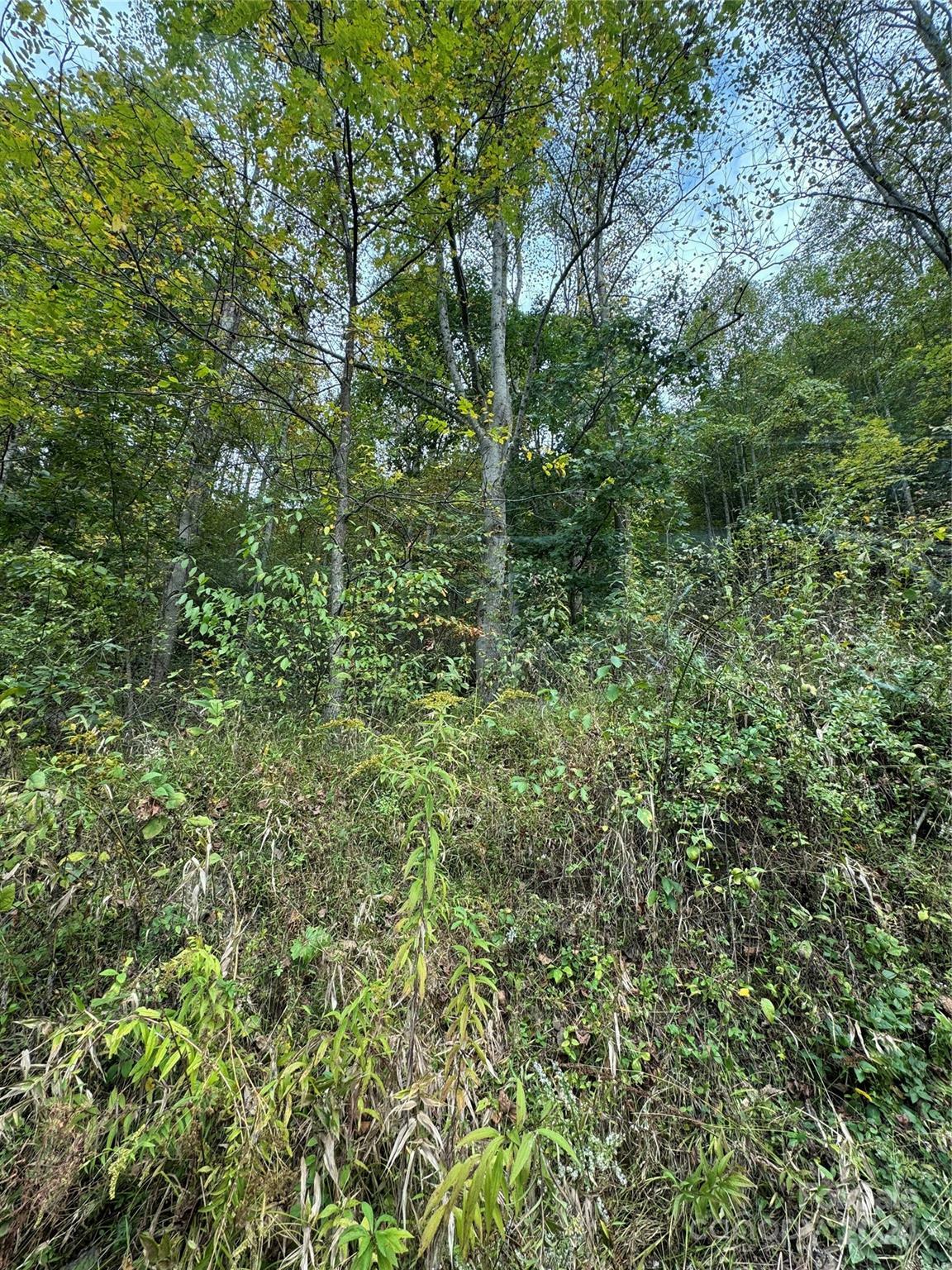 Property Photo:  9999 West Road  NC 28743 