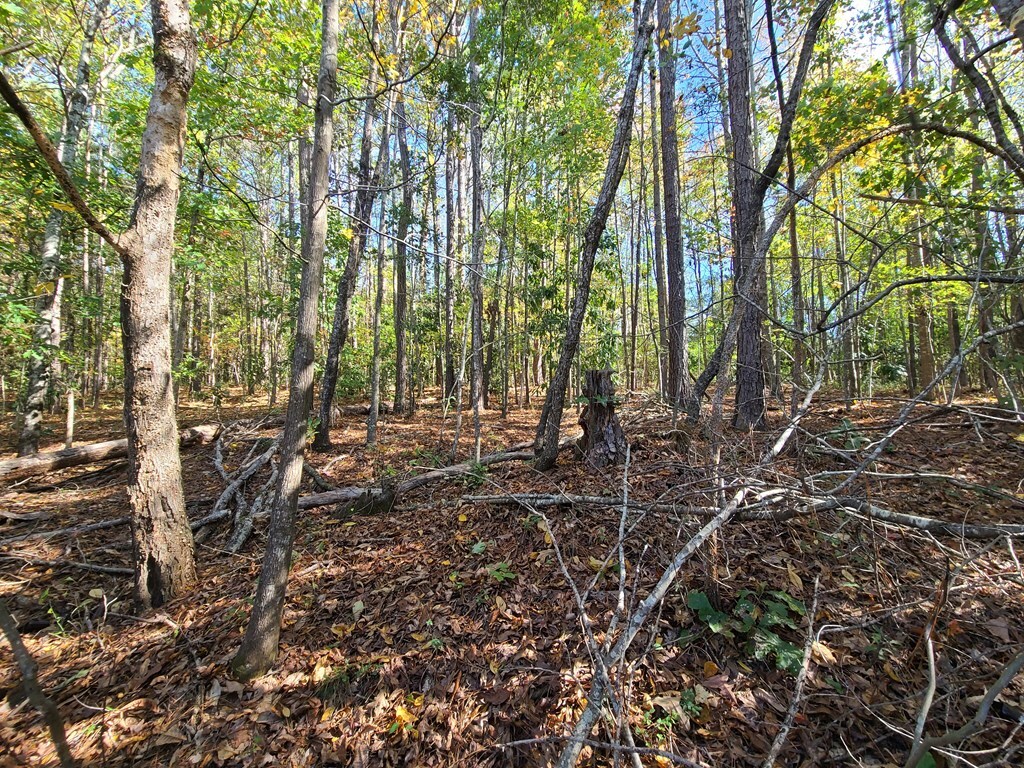 Property Photo:  Lot 90 E Lakeshore Drive  GA 31831 