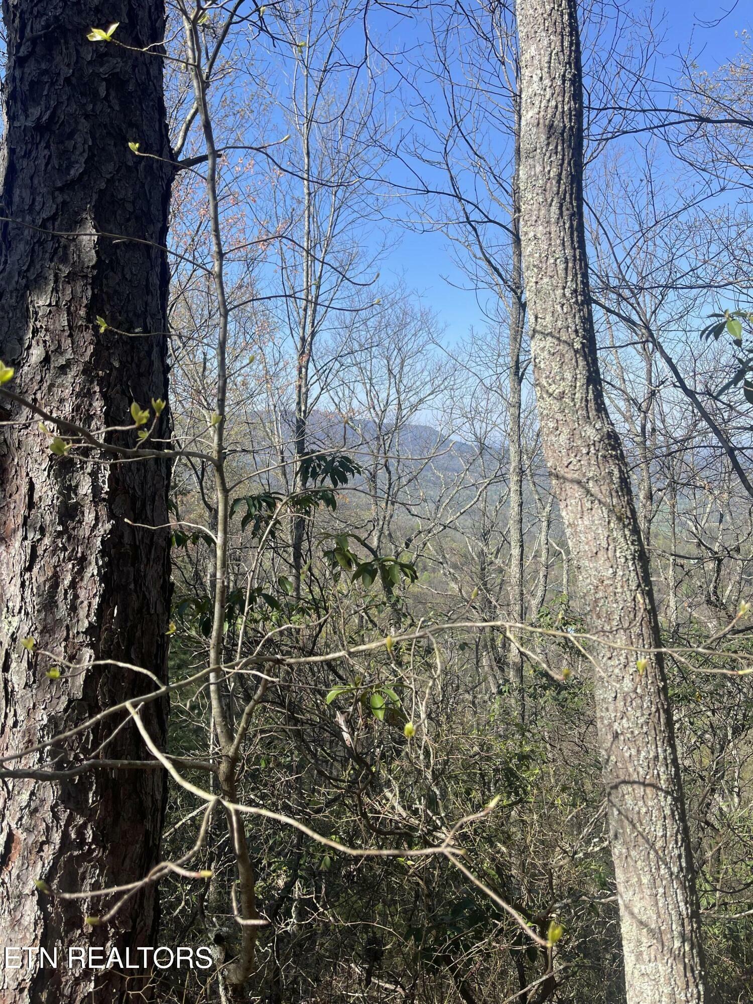 Property Photo:  Lot 5 Overholt Tr  TN 37862 