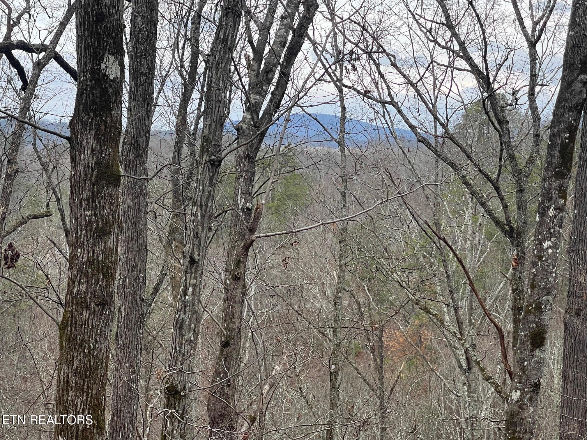 Property Photo: Lot 5 Overholt Tr TN 37862