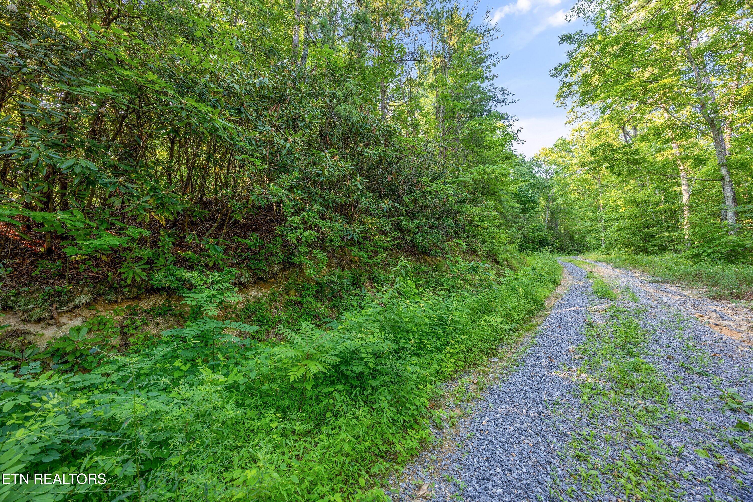 Property Photo: Lot 5 Overholt Tr TN 37862