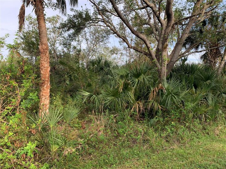 Property Photo: 1441 Candy Lane FL 33953