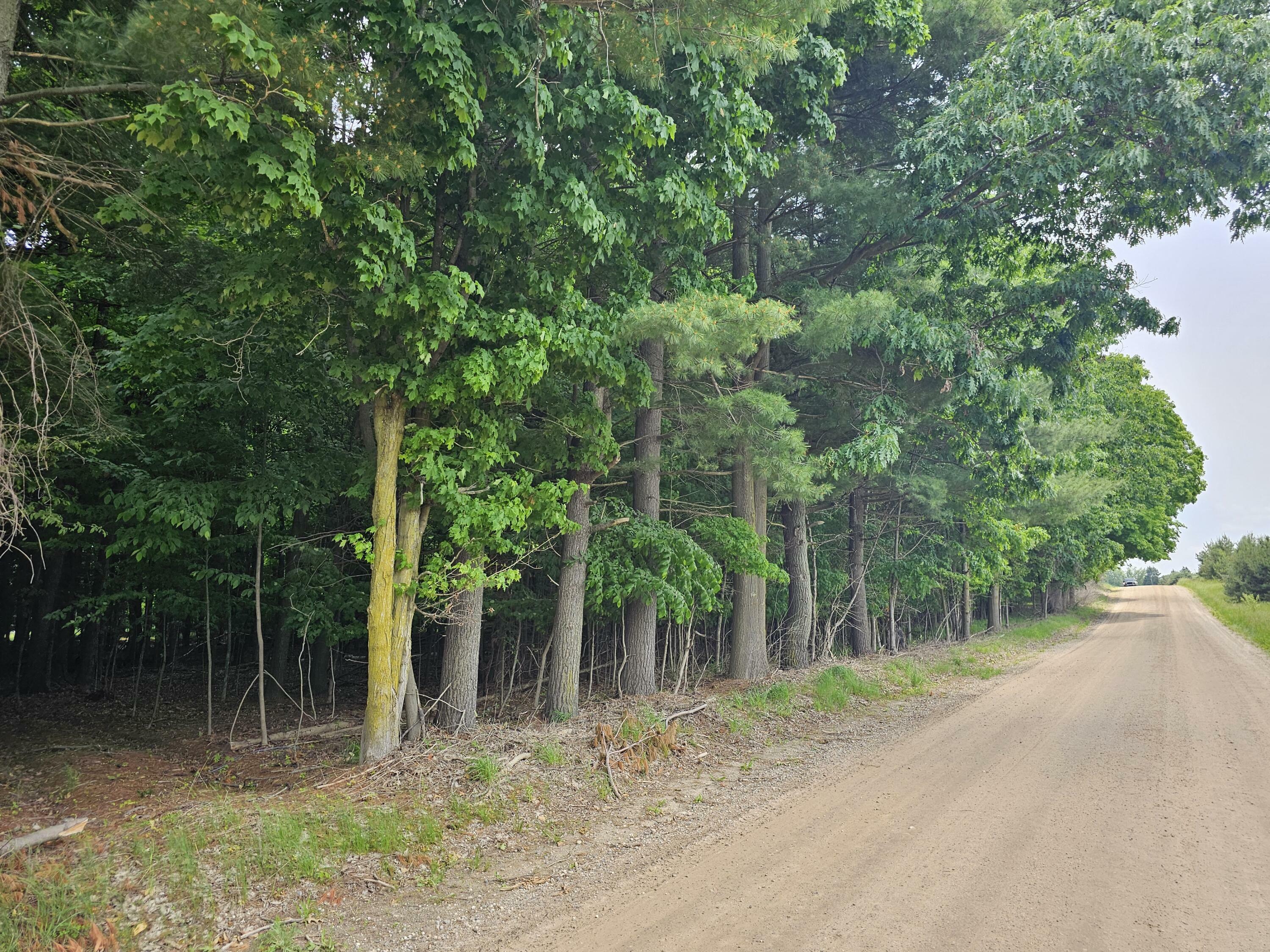 Property Photo:  Waterwheel Road  MI 48886 