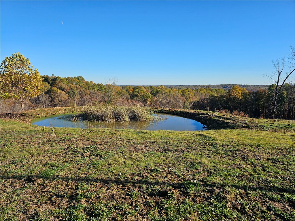 Property Photo:  15.94 Acres Hwy 23 & Madison 1000  AR 72740 